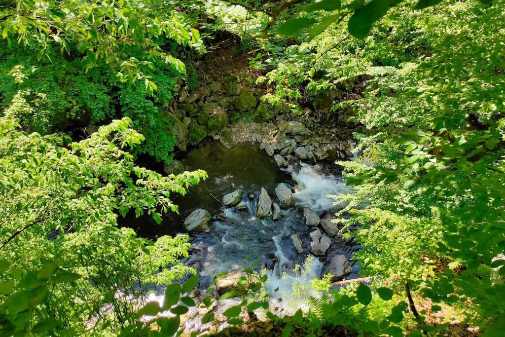 Tiny Treperka Villa Semily Dış mekan fotoğraf